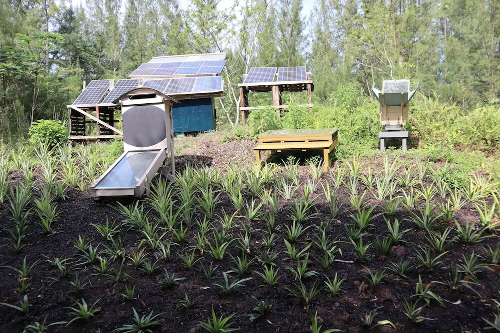 Фото Cinderland EcoVillage - Hostel