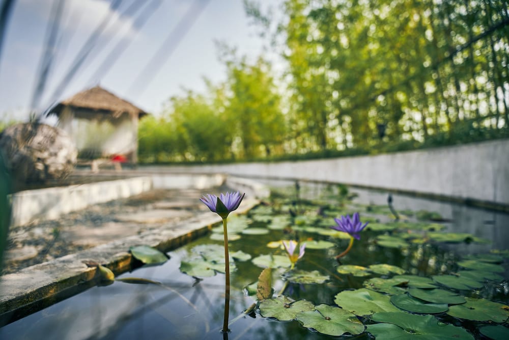 Фото Moonlo Hotel