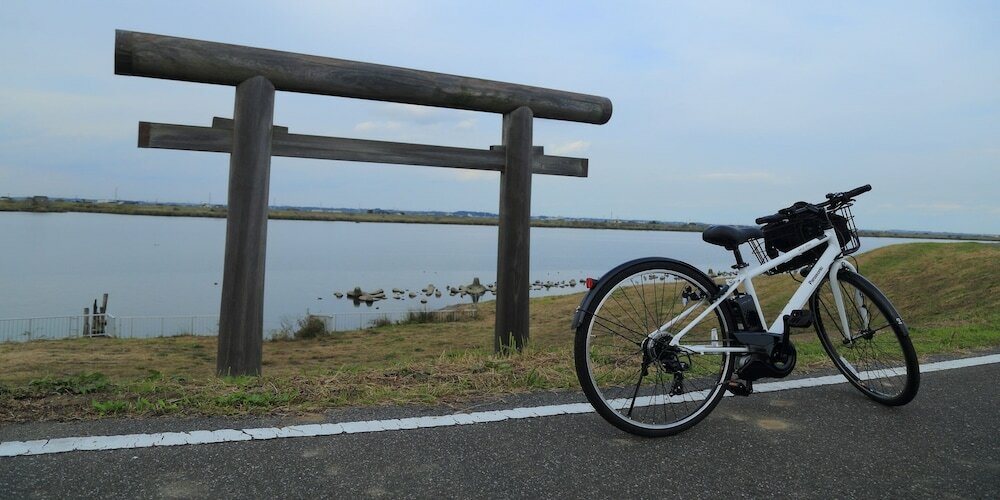 Фото Hostel Co-EDO