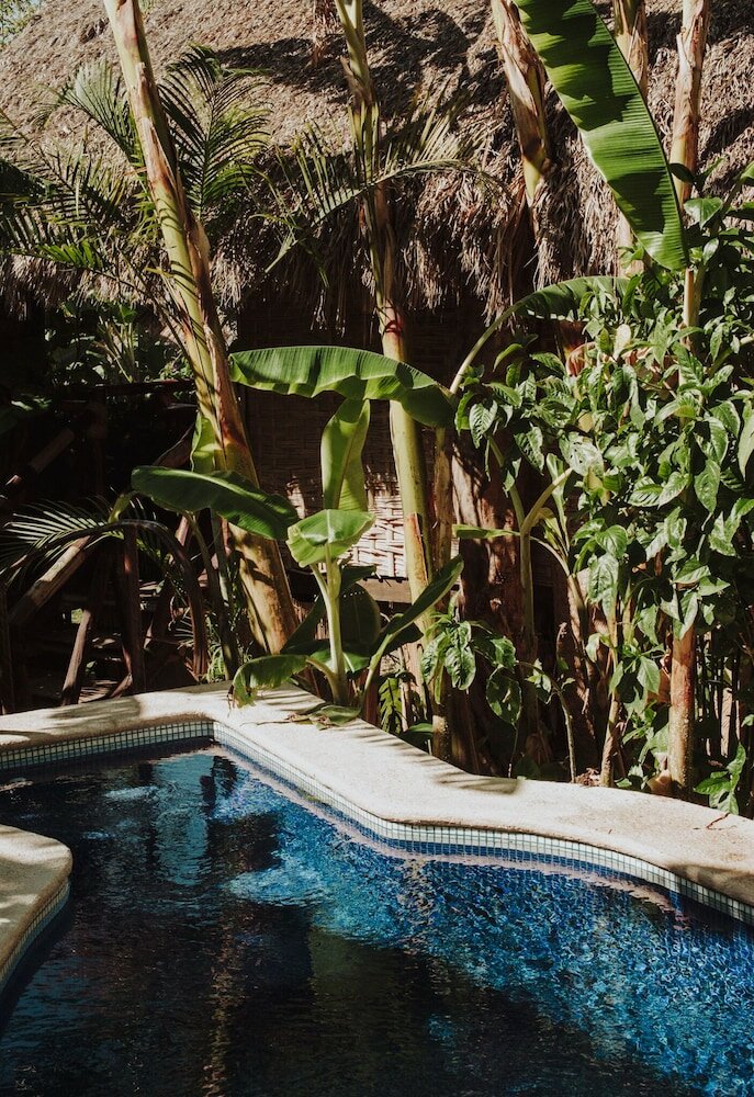 Фото Eco Hotel Tahawi