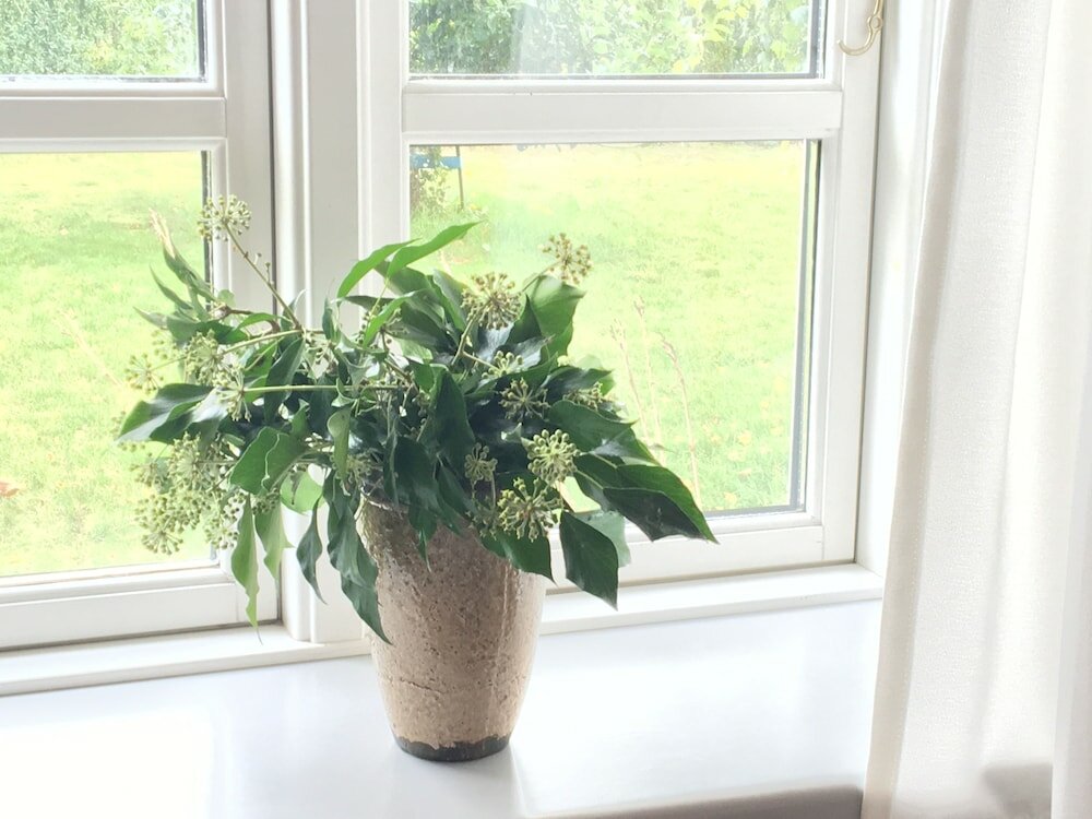 Фото Spangsgaard bed and breakfast