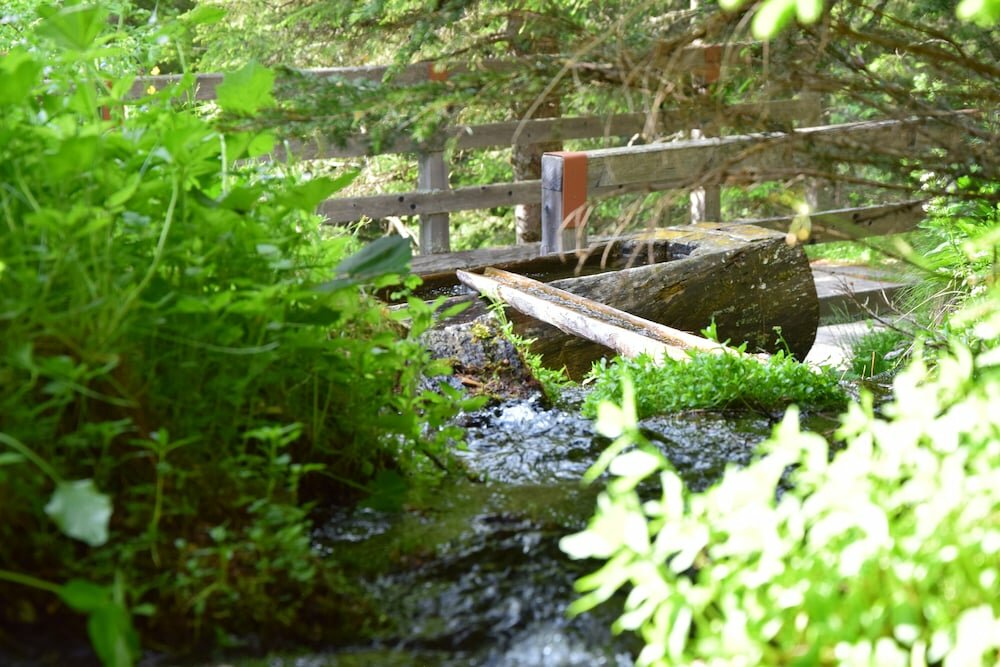 Фото Berggasthof Badl