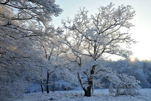 Фото Fletcher Hotel - Restaurant Steenwijk