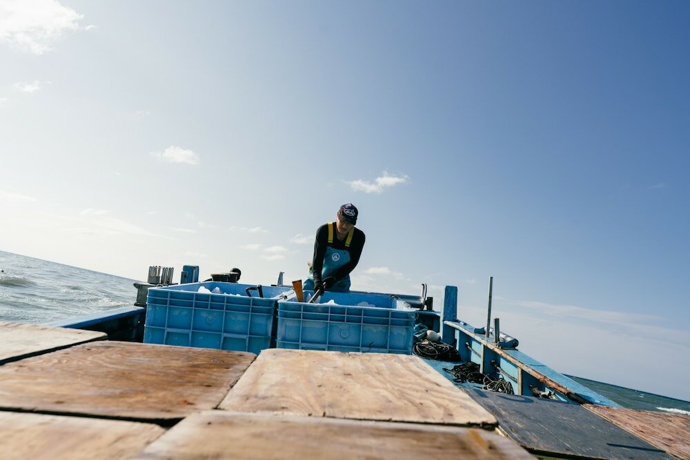 Фото B&b Mikawa - Kanazawa Fish Harbour