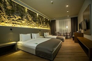 Гостиница The Erzurum Hotel