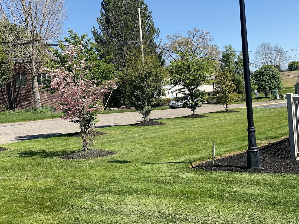 Фото White Rose Motel - Hershey