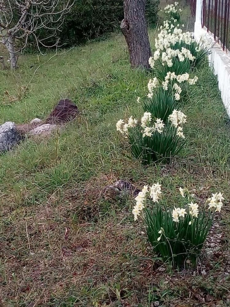 Фото Villa Sandra