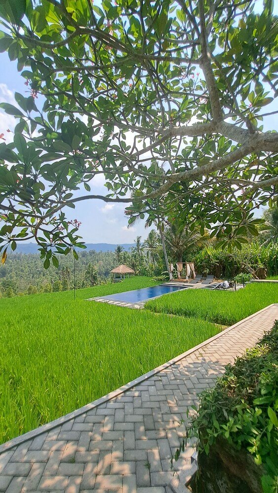 Фото Bali De Pardis Cottage