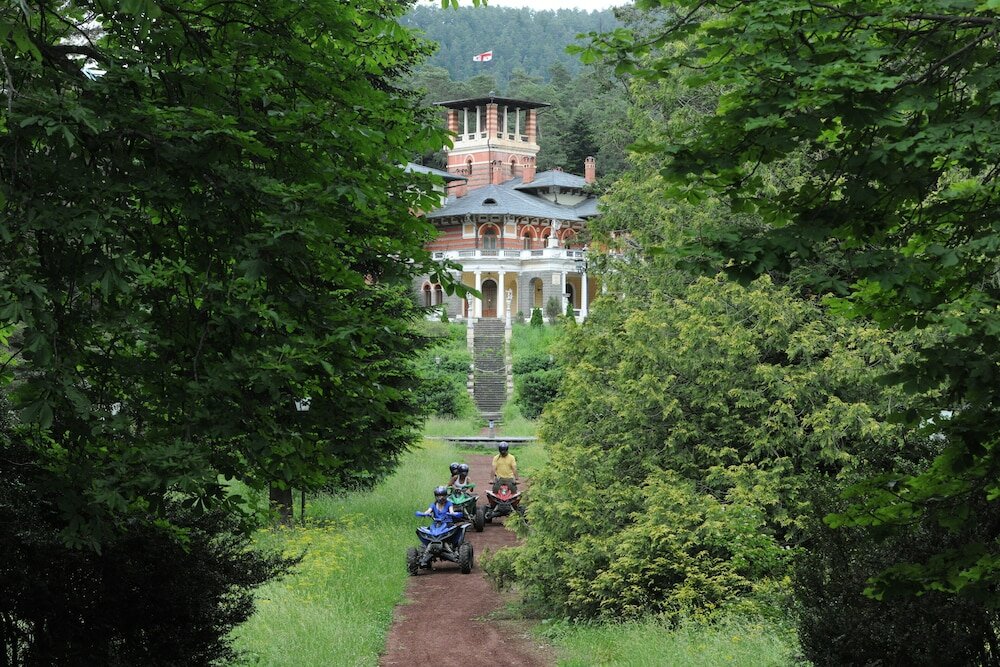 Фото Borjomi Likani