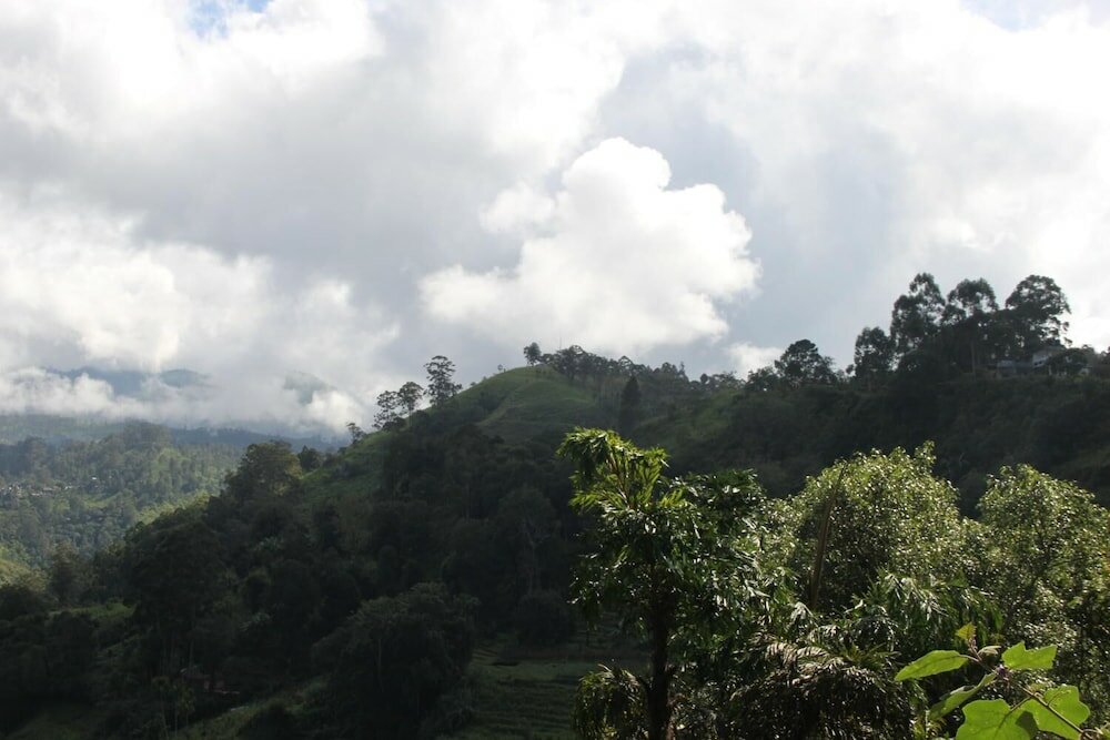 Фото Rockvila Guest House