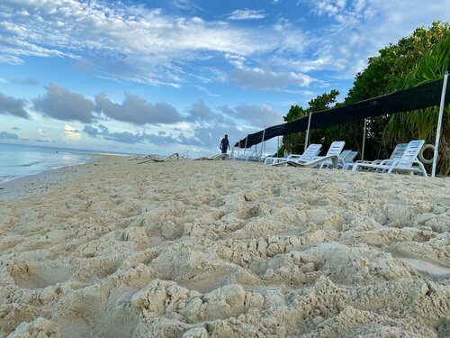 Гостиница Ocean Beach Inn - Maldives