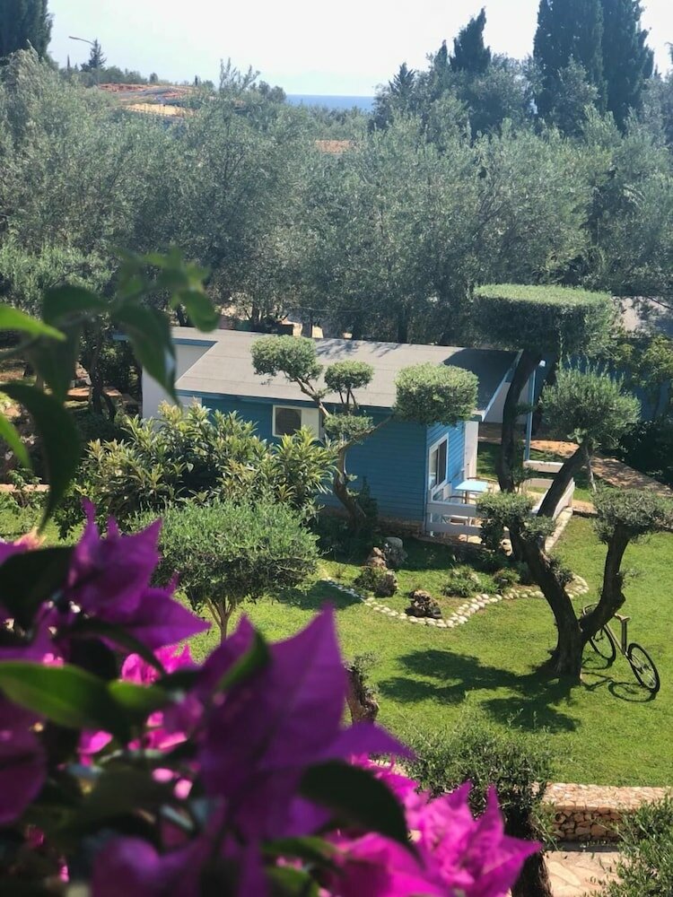 Фото Drymades Resort