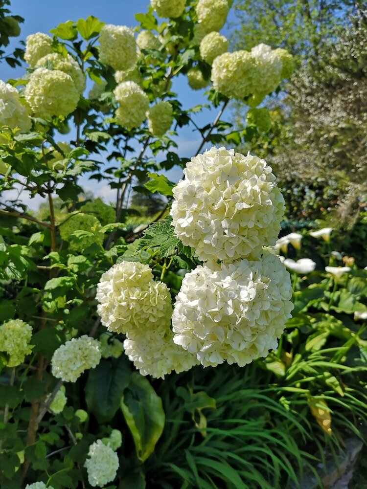 Фото Apartamentos Rurales Villa de Saín