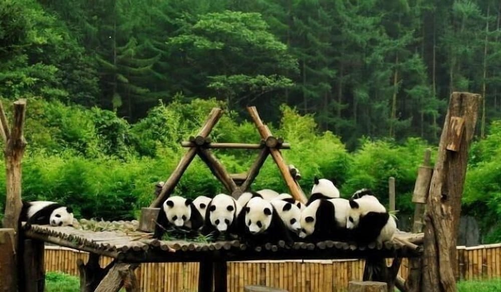 Фото Moonlo Hotel