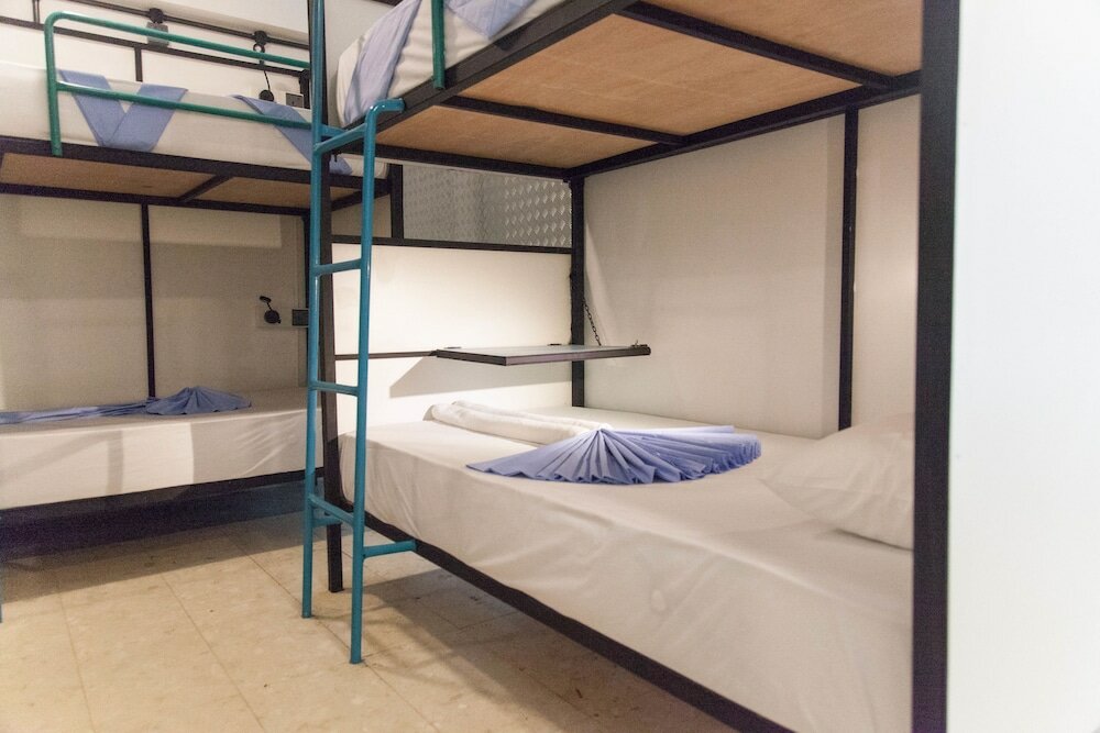 Фото Bunky Monkey - Hostel