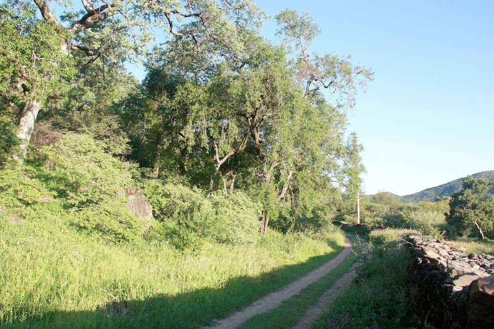 Фото Ghaub Nature Reserve & Farm