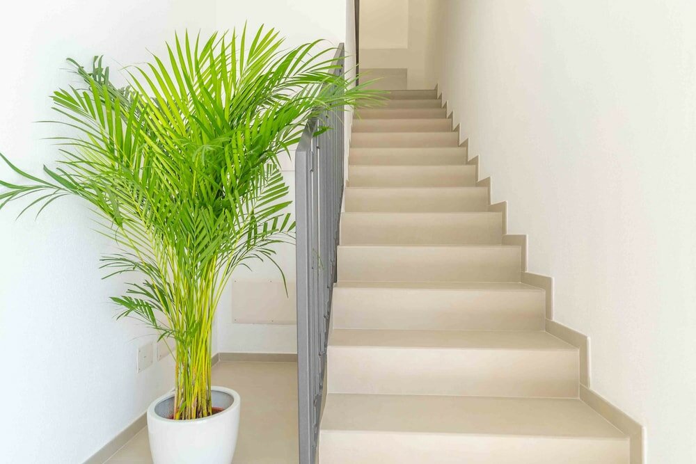 Фото Nuova - Luxury Rooms & Apartment