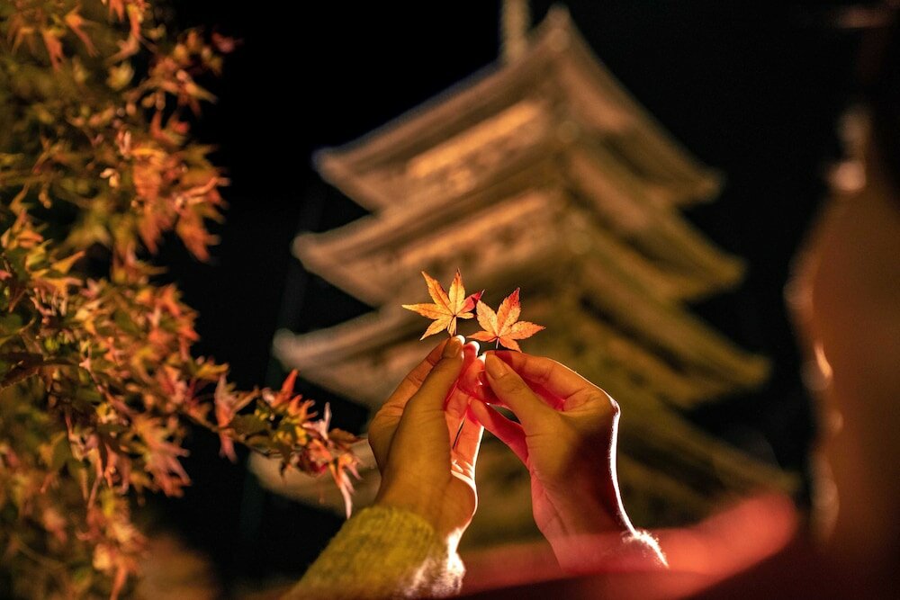Фото Omo3 Kyoto Toji by Hoshino Resorts