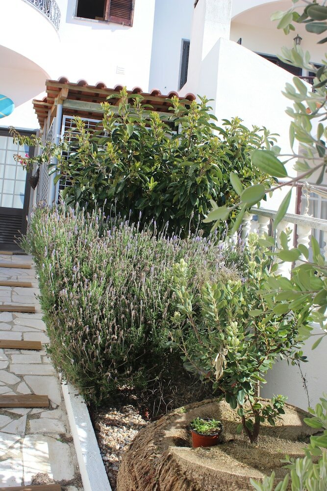 Фото Ericeira Chill Hill Hostel & Private Rooms - Peach Garden