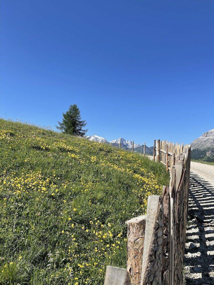 Фото Residence Bondi