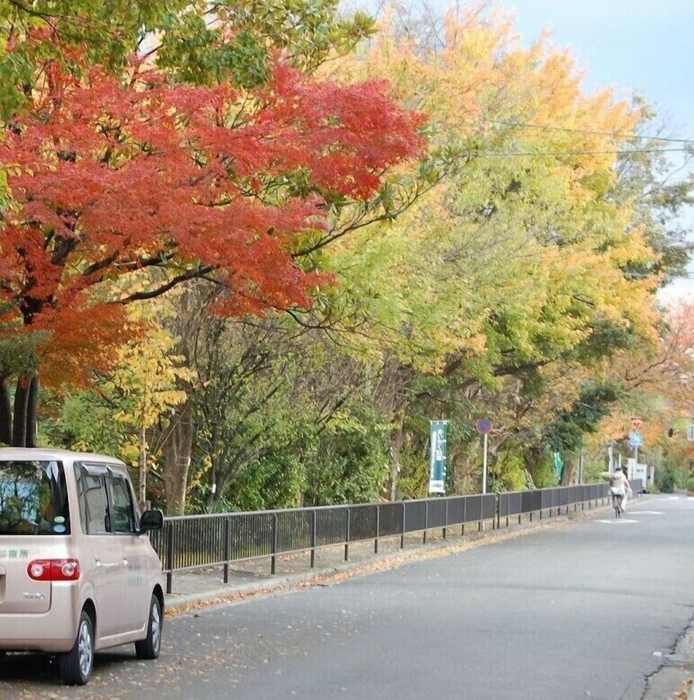 Фото Gojo Paradiso homes restaurant and bar - Hostel