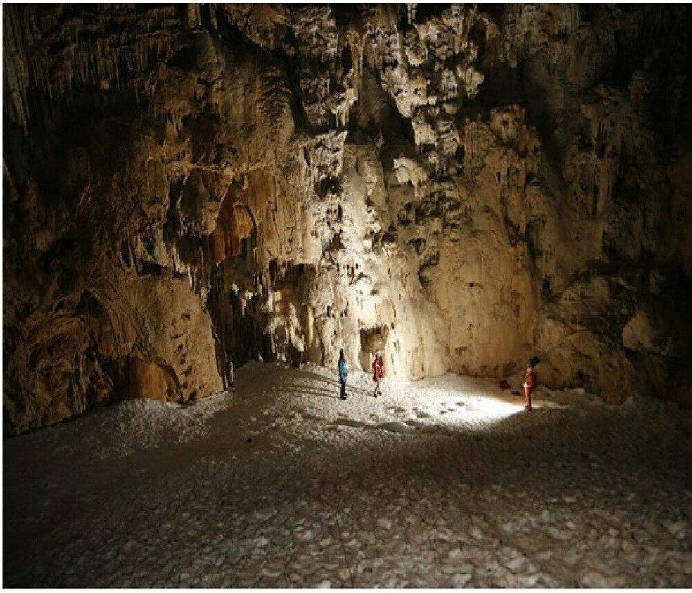 Фото Omega Comfy Apts