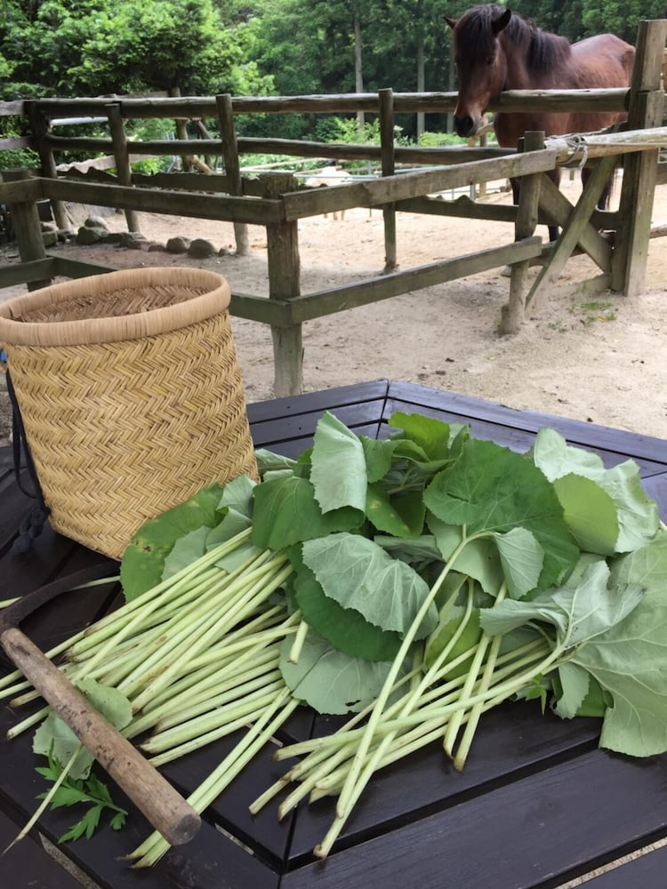 Фото Dosanko Mira Farm