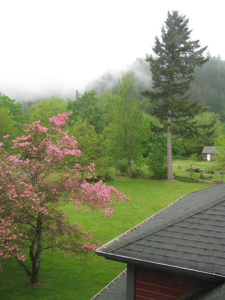 Фото Sasquatch Crossing Eco Lodge B&b