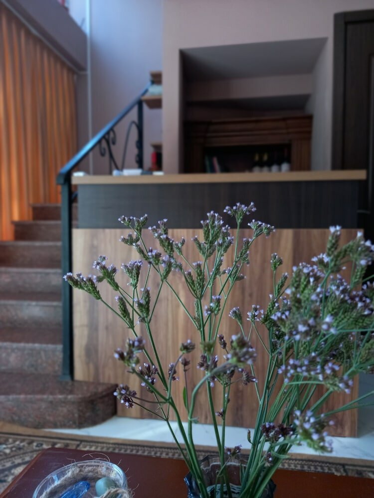 Фото Отель Давид