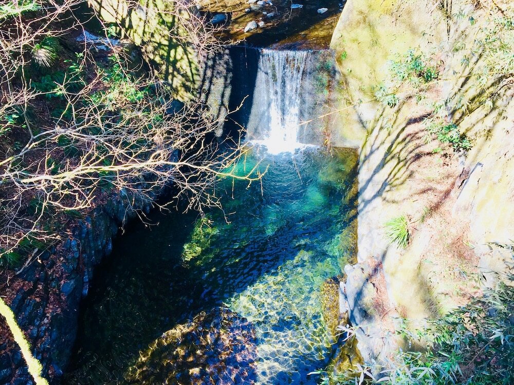 Фото Vanguard Backpackers - Hostel