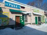 Magazin rybnoy produktsii (Ufimskaya Street, 8А), fish and seafood