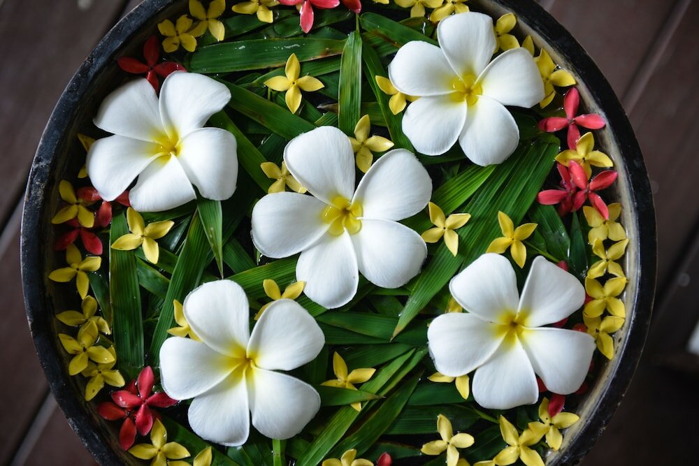 Фото Twin Lotus Resort and SPA