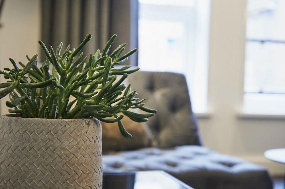 Фото Apart Hotel De Bank