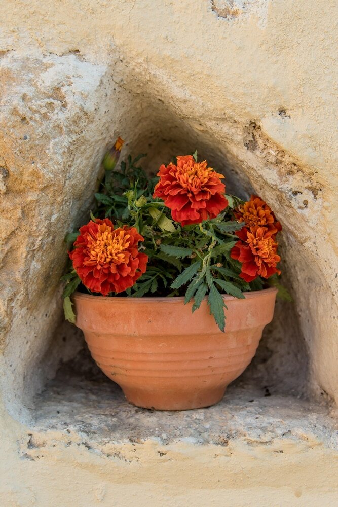 Фото Villa Theta with private pool