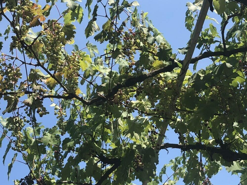 Фото Holiday Home Sea View