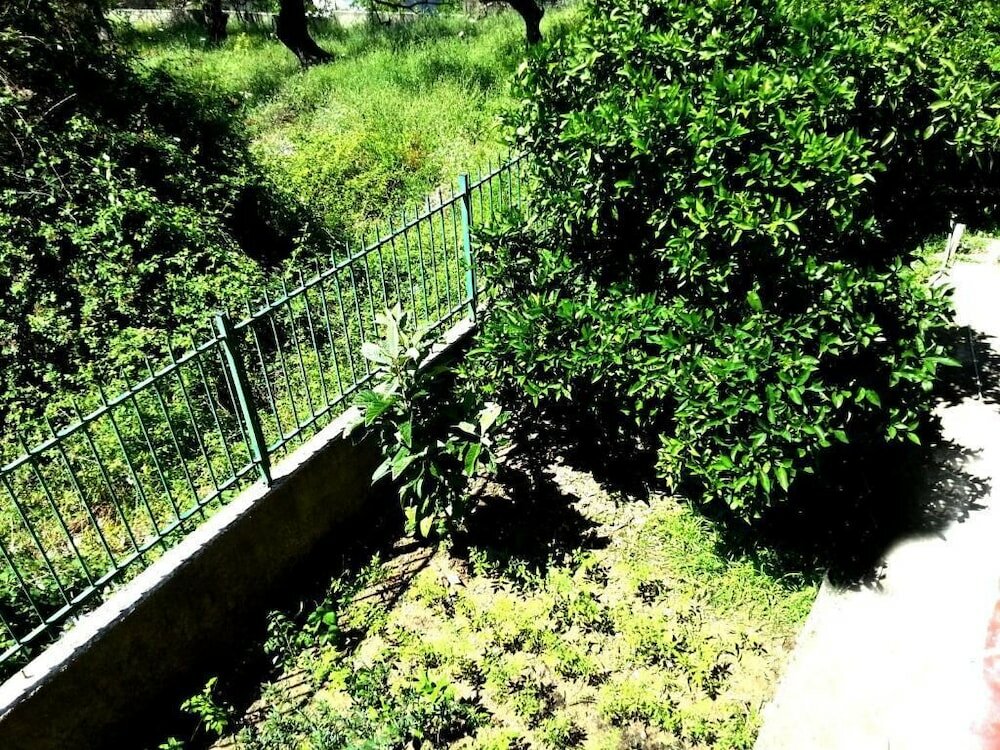 Фото Flutura Apartments