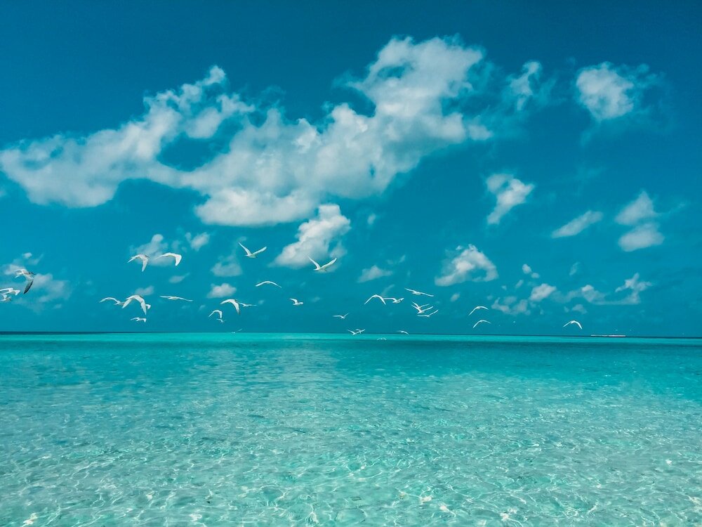 Фото Отель Perla Dhangethi