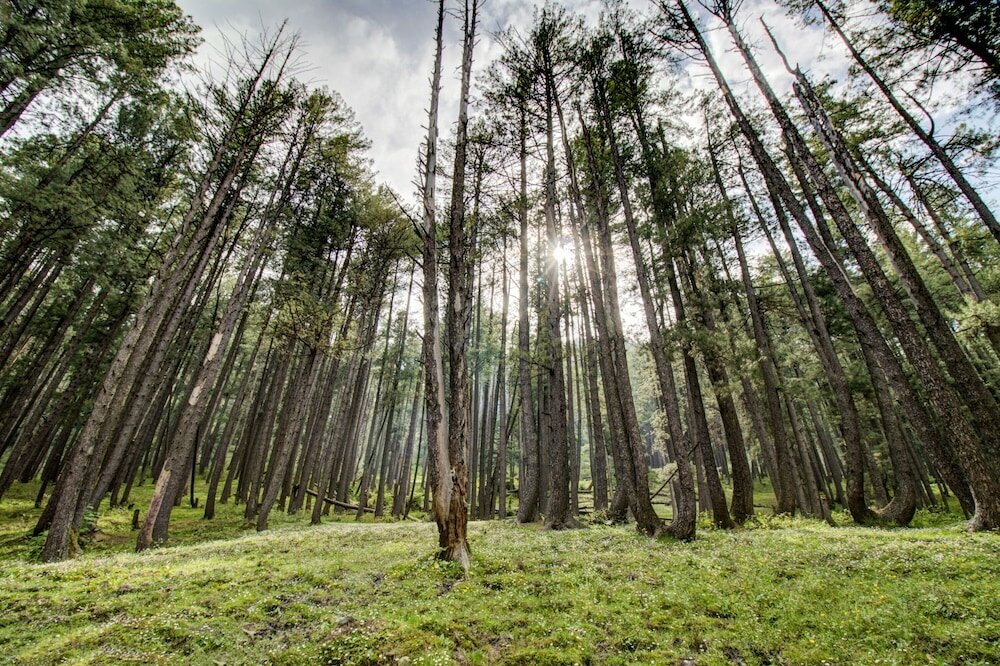 Фото Hotel Little Silver