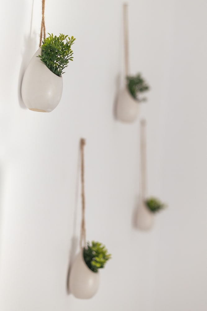 Фото Akti Apollona