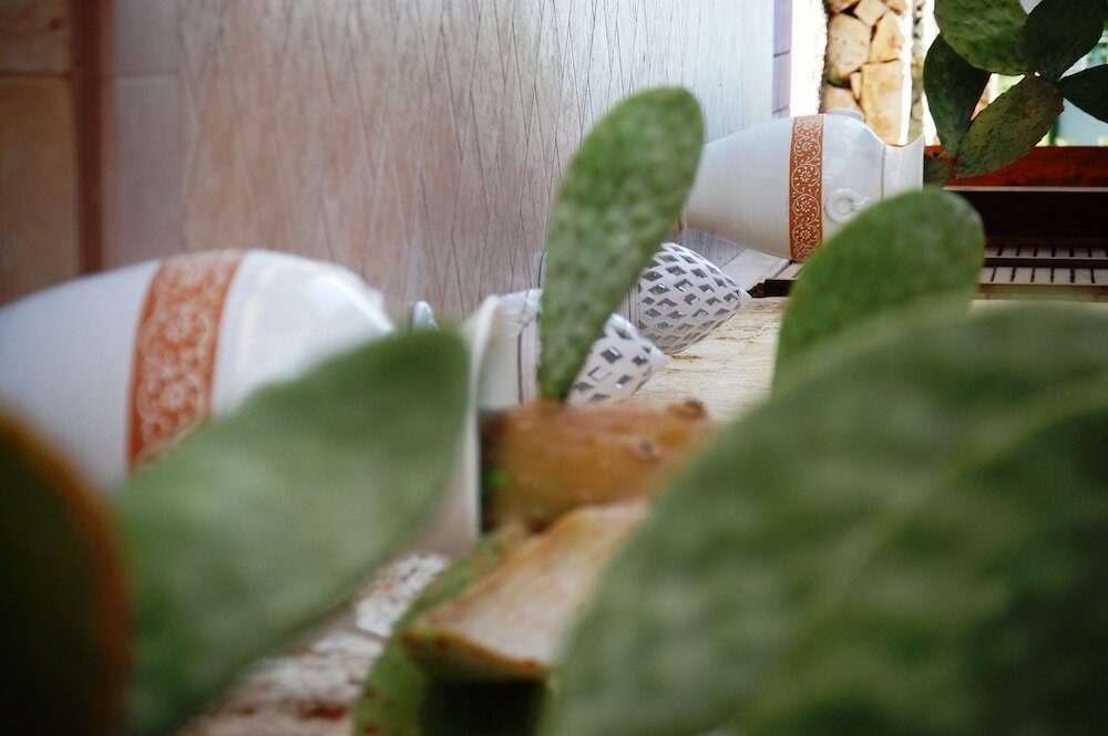 Фото Masseria La Grande Quercia