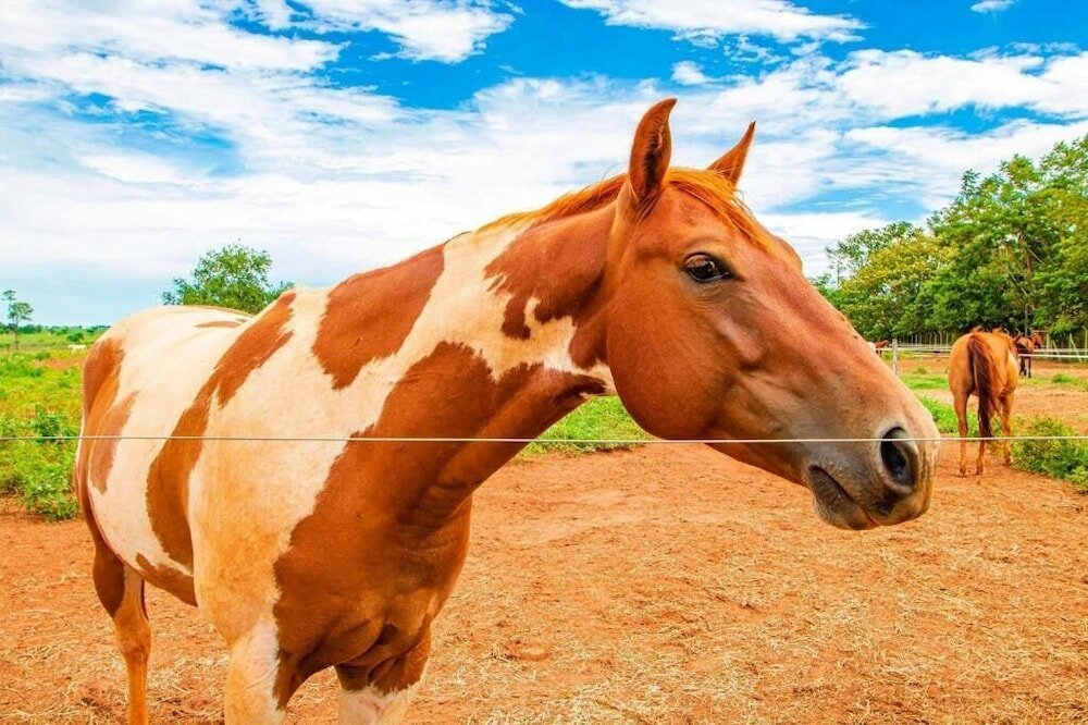 Фото Botânico Hotel Fazenda e SPA