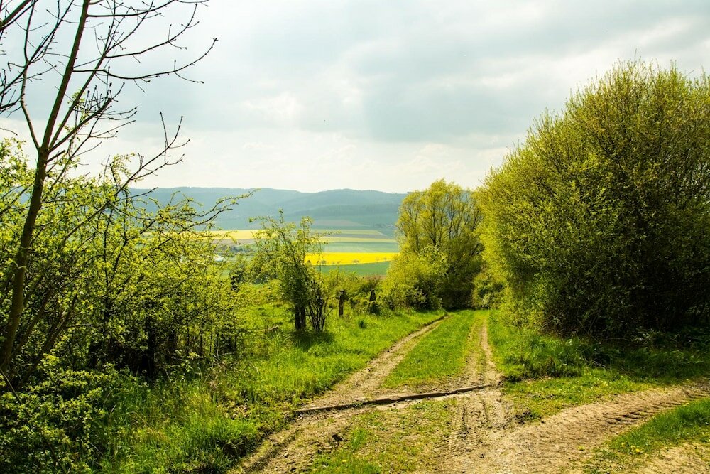 Фото Haus Gerda in Bodenwerder