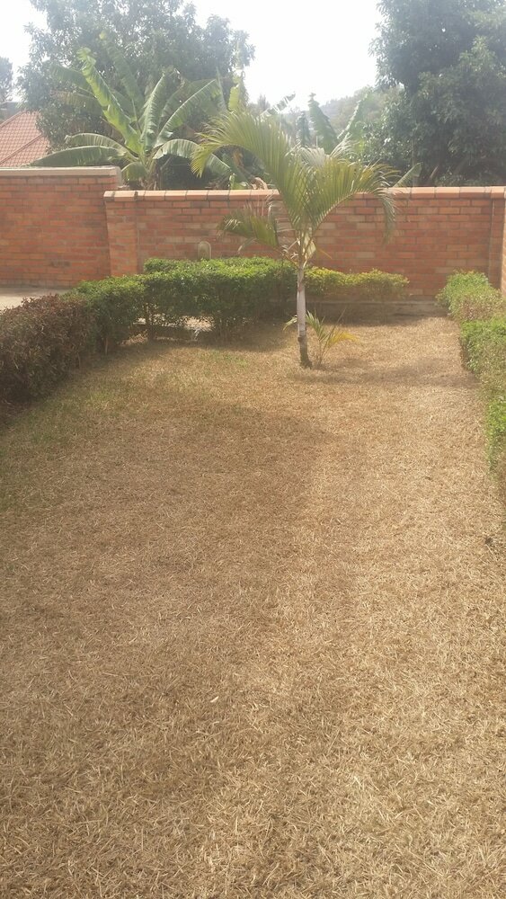 Фото EstaCode Suites- Classic