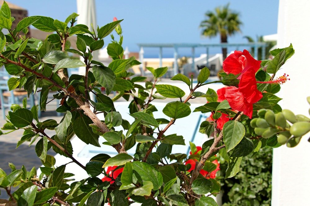 Фото Aethrio Sunset Village - Oia