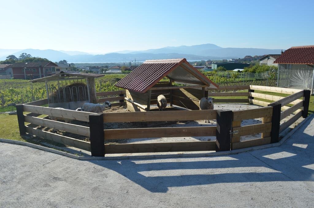 Фото Hotel Apartamento Marouco