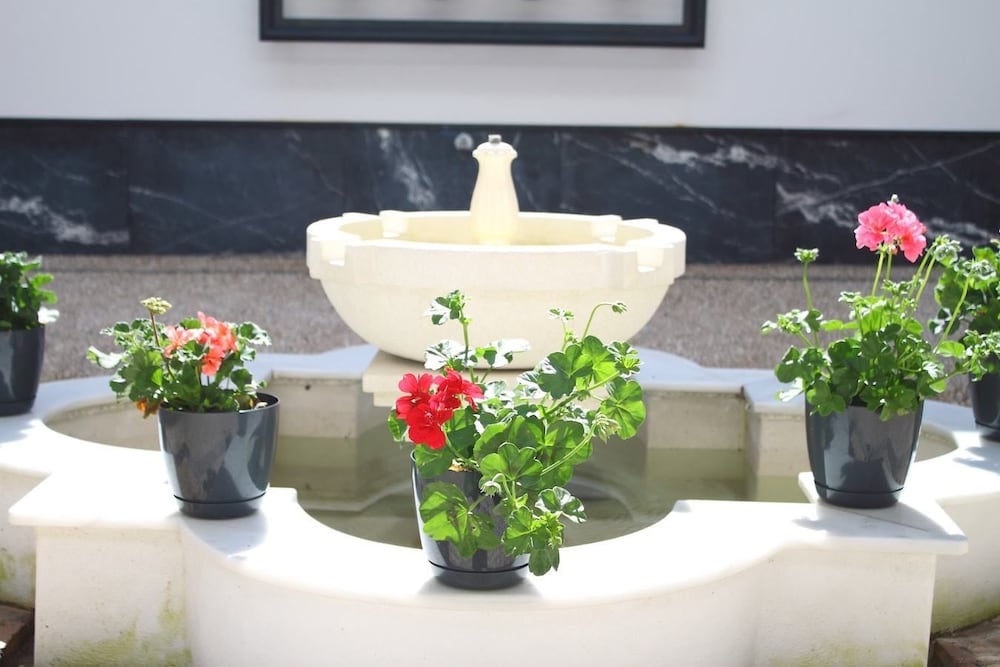 Фото Apartamentos Esencia de Córdoba