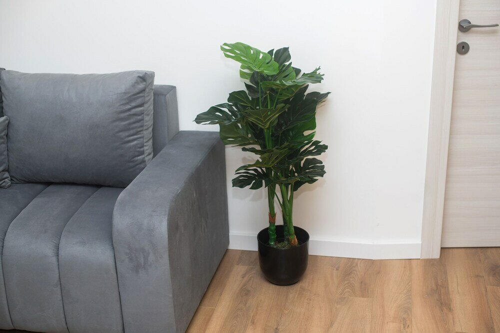 Фото Apartments Luxury Golden Suites