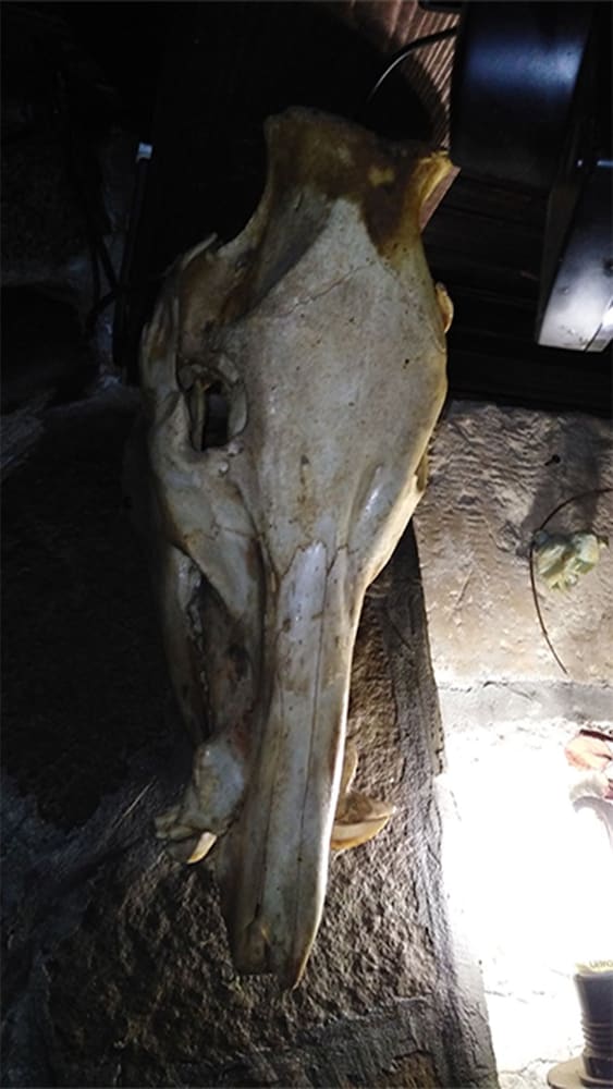 Фото At the Doctor