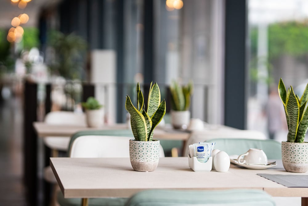 Фото Hotel Livvo Lumm