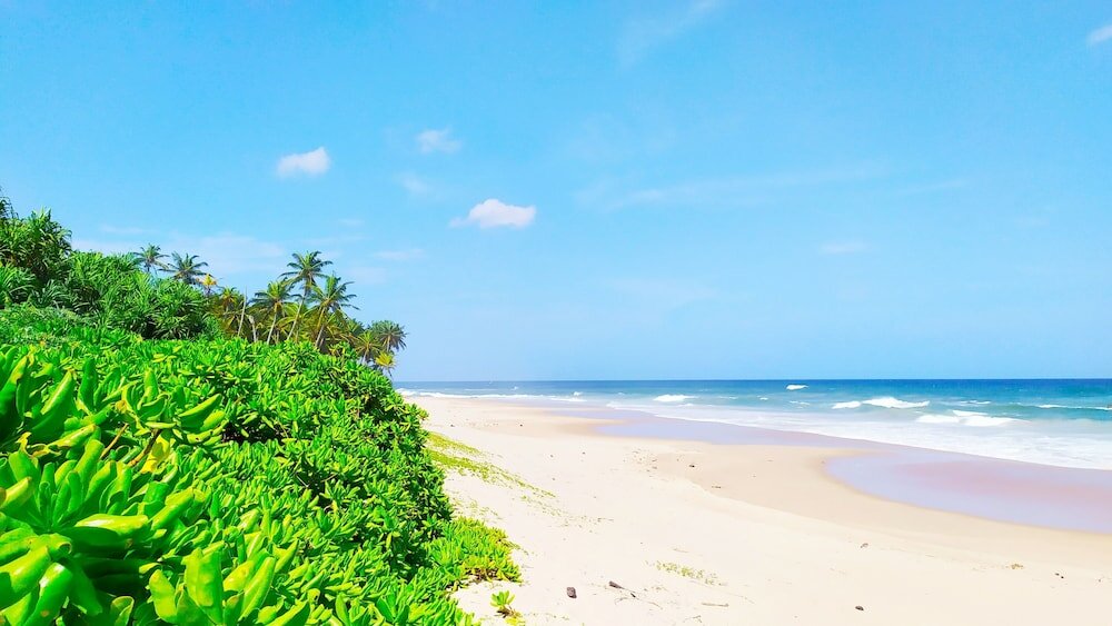 Фото Villa Modara